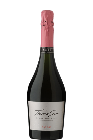 Santa Alicia Tierra Sur DO Bio Bio Valley Rose 2023 12,5% 0,75л