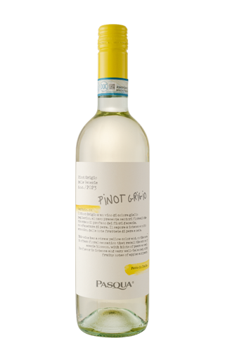 Pasqua Pinot Grigio delle Venezie DOC 2023 12% 1,5л