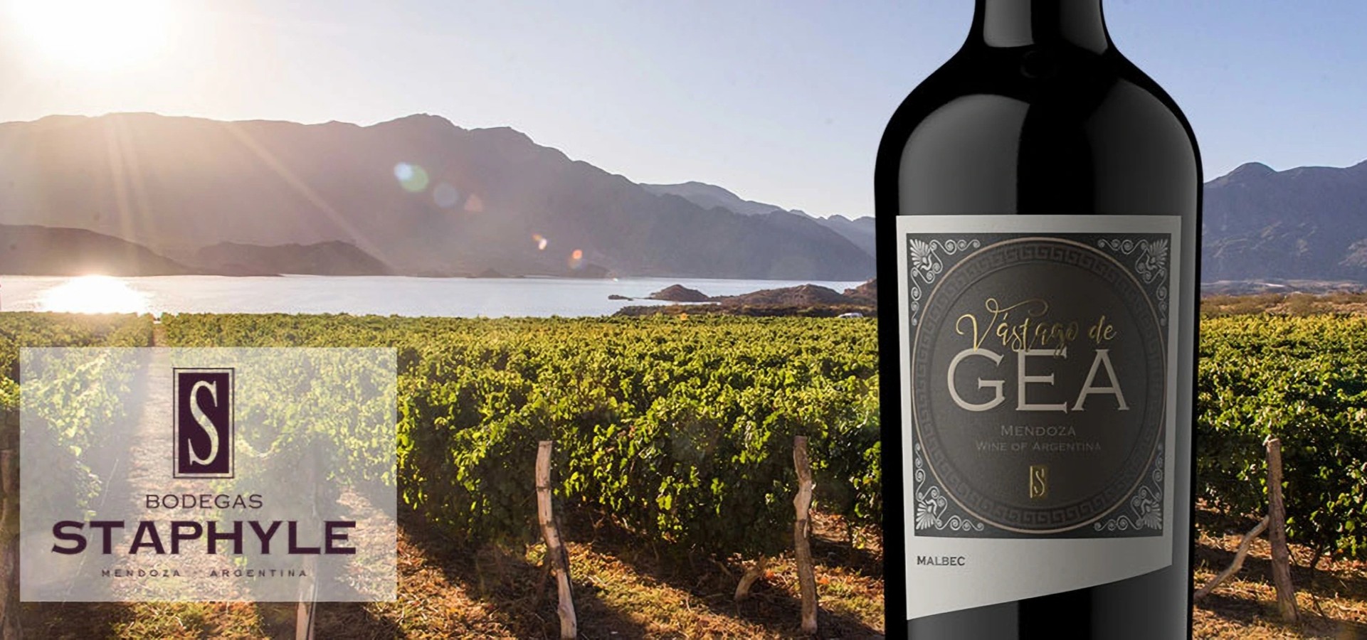 Bodegas Staphyle