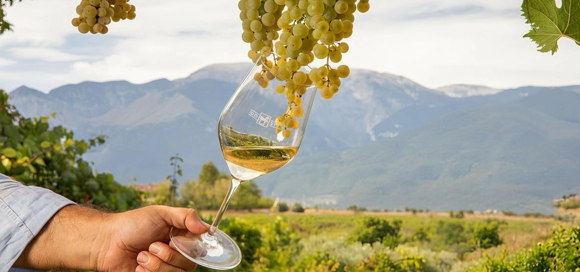Tenuta Ulisse
