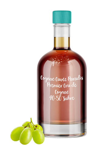 Cognac "Cuvee Paradis" 40% 0,25л