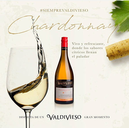 Приглашаем вас на дегустацию вин Valdivieso!