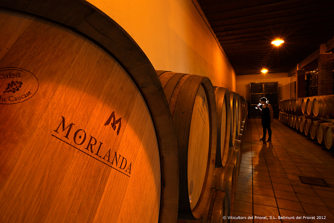 Morlanda: уникальные вина из Каталонии
