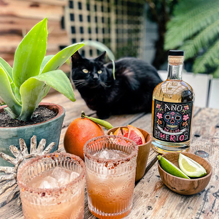 Новая Южная Африка