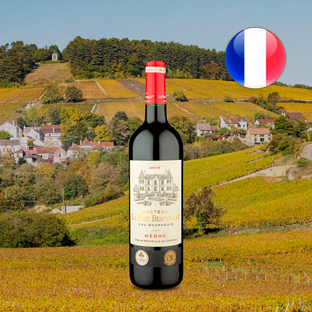 Новые вина из самого известного региона Франции - Бордо!