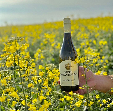 Новая Южная Африка