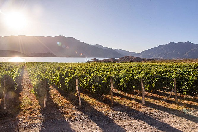 Аргентина в каждой бутылке: новое поступление вин Bodegas Staphyle