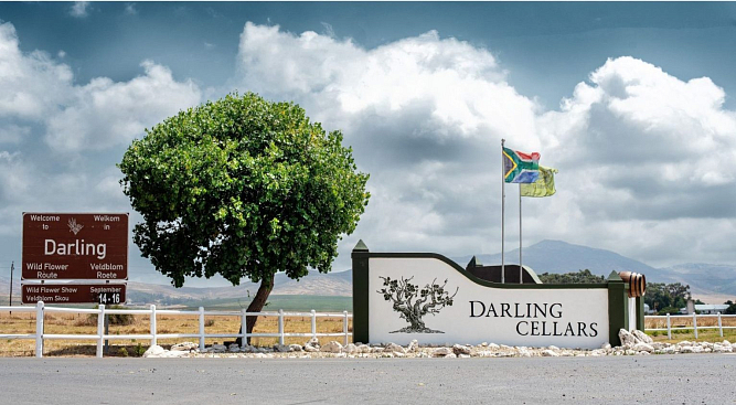 Darling Cellars: новинки в сегменте безалкогольных вин