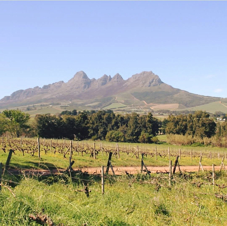 Новая Южная Африка