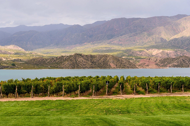 Аргентина в каждой бутылке: новое поступление вин Bodegas Staphyle
