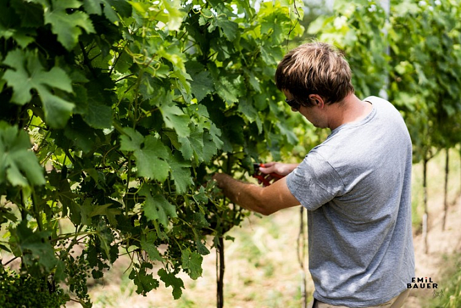 Emil Bauer: Качество важнее количества
